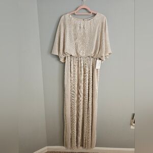 See And Be Seen Ivory & Gold Shimmer Maxi Dress | NWT | Medium